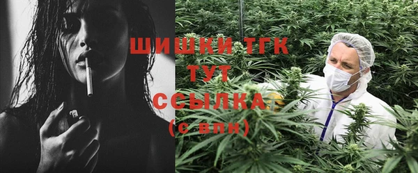 молекула духа Алексеевка