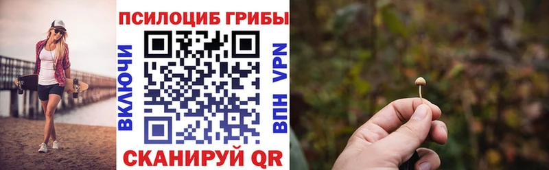 Галлюциногенные грибы прущие грибы  Дюртюли 