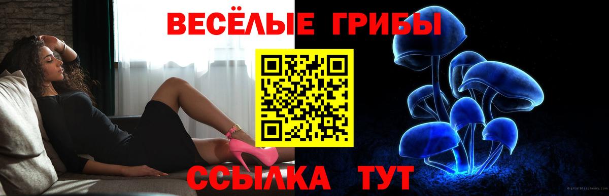 Галлюциногенные грибы Psilocybine cubensis  Вход с VPN  Дюртюли 